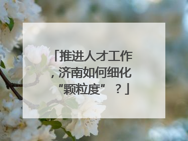 推进人才工作，济南如何细化“颗粒度”？
