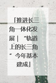 推进长三角一体化发展｜“轨道上的长三角”今年基本建成