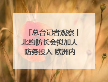 总台记者观察丨北约防长会拟加大防务投入 欧洲内部分歧难掩