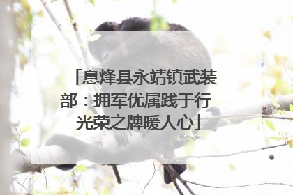 息烽县永靖镇武装部：拥军优属践于行 光荣之牌暖人心