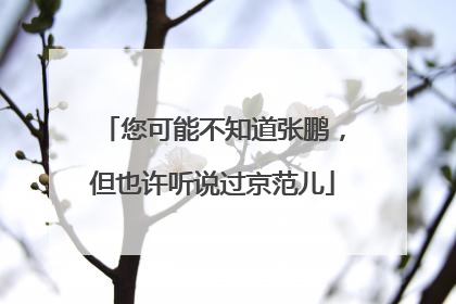 您可能不知道张鹏，但也许听说过京范儿