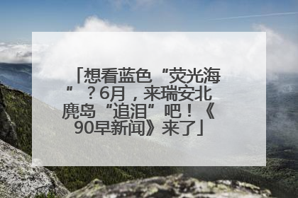 想看蓝色“荧光海”？6月，来瑞安北麂岛“追泪”吧！《90早新闻》来了