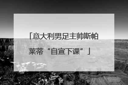 意大利男足主帅斯帕莱蒂“自宣下课”