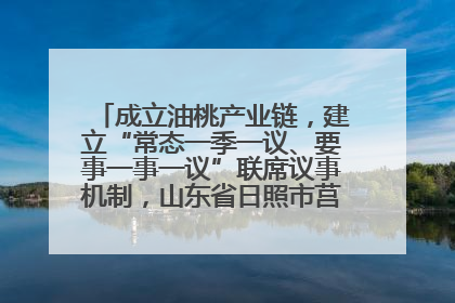 成立油桃产业链，建立“常态一季一议、要事一事一议”联席议事机制，山东省日照市莒县果庄镇——13个党小组“全周期”育果
