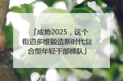 成势2025，这个街道多维锻造新时代复合型年轻干部梯队