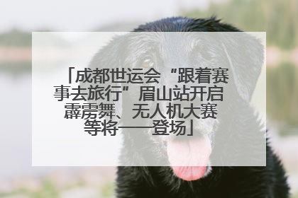 成都世运会“跟着赛事去旅行”眉山站开启 霹雳舞、无人机大赛等将一一登场