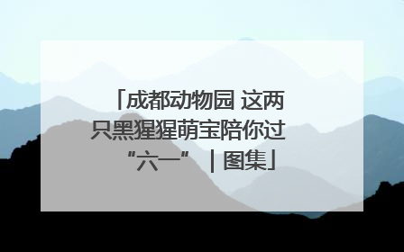成都动物园 这两只黑猩猩萌宝陪你过“六一”｜图集