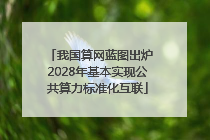 我国算网蓝图出炉 2028年基本实现公共算力标准化互联