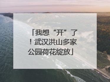 我想“开”了！武汉洪山多家公园荷花绽放