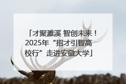 才聚濉溪 智创未来！2025年“招才引智高校行”走进安徽大学