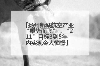扬州新城航空产业“乘势而飞”，“211”目标3到5年内实现令人憧憬