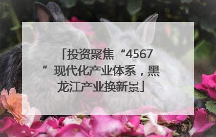 投资聚焦“4567”现代化产业体系，黑龙江产业换新景