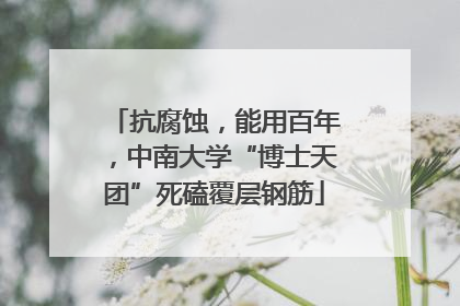 抗腐蚀，能用百年，中南大学“博士天团”死磕覆层钢筋