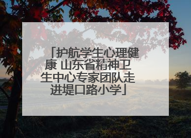 护航学生心理健康 山东省精神卫生中心专家团队走进堤口路小学