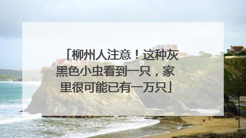 柳州人注意！这种灰黑色小虫看到一只，家里很可能已有一万只