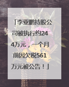 李亚鹏持股公司被执行约244万元，一个月前因欠税561万元被公告！