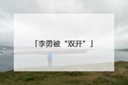 李勇被“双开”