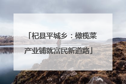杞县平城乡：橄榄菜产业铺就富民新道路