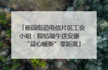杨园街道电信片区工会小组：粽情端午送安康 “益心暖新”零距离