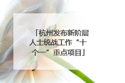 杭州发布新阶层人士统战工作“十个一”重点项目