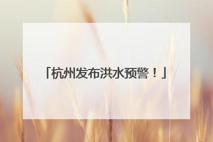 杭州发布洪水预警！