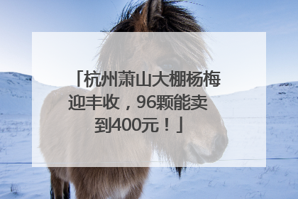 杭州萧山大棚杨梅迎丰收，96颗能卖到400元！