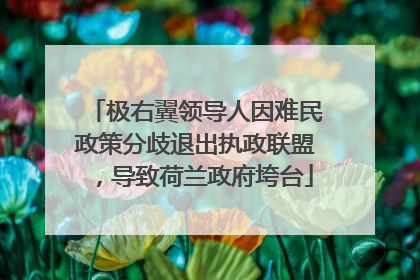 极右翼领导人因难民政策分歧退出执政联盟，导致荷兰政府垮台