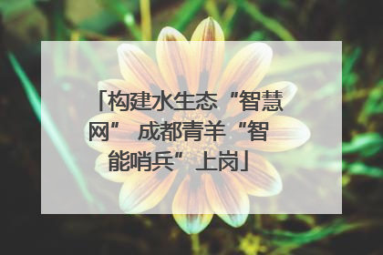 构建水生态“智慧网” 成都青羊“智能哨兵”上岗