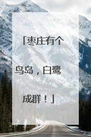 枣庄有个鸟岛，白鹭成群！