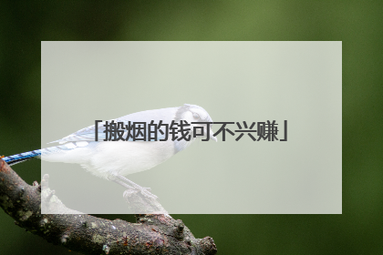 搬烟的钱可不兴赚