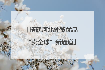 搭建河北外贸优品“卖全球”新通道