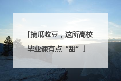 摘瓜收豆，这所高校毕业课有点“甜”