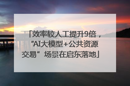 效率较人工提升9倍，“AI大模型+公共资源交易”场景在启东落地