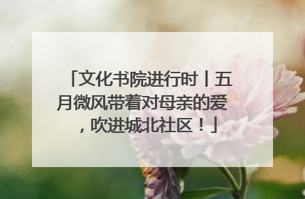 文化书院进行时丨五月微风带着对母亲的爱，吹进城北社区！