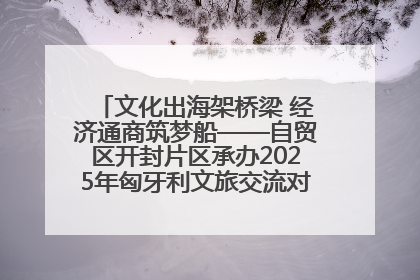 文化出海架桥梁 经济通商筑梦船——自贸区开封片区承办2025年匈牙利文旅交流对接活动专场