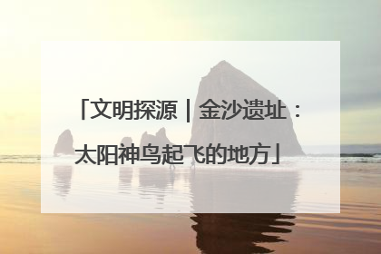 文明探源｜金沙遗址：太阳神鸟起飞的地方