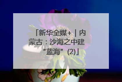 新华全媒+｜内蒙古：沙海之中建“蓝海”(2)