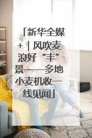 新华全媒+｜风吹麦浪好“丰”景——多地小麦机收一线见闻