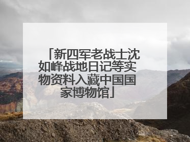 新四军老战士沈如峰战地日记等实物资料入藏中国国家博物馆