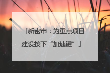 新密市：为重点项目建设按下“加速键”