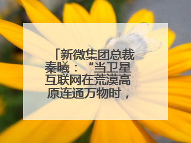 新微集团总裁秦曦：“当卫星互联网在荒漠高原连通万物时，成都的创新故事才真正开始”