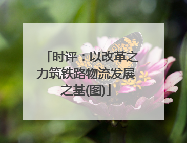 时评：以改革之力筑铁路物流发展之基(图)