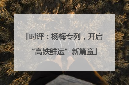 时评：杨梅专列，开启“高铁鲜运”新篇章