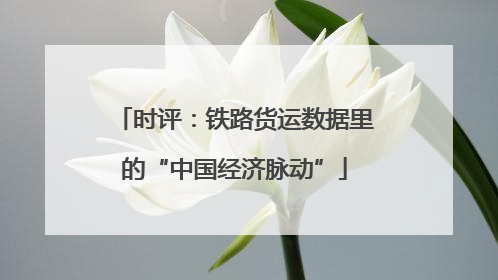 时评：铁路货运数据里的“中国经济脉动”