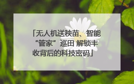无人机送秧苗、智能“管家”巡田 解锁丰收背后的科技密码