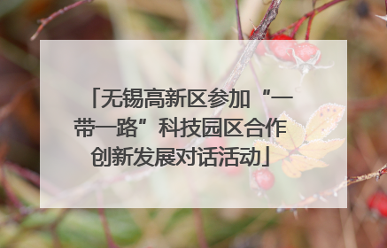无锡高新区参加“一带一路”科技园区合作创新发展对话活动