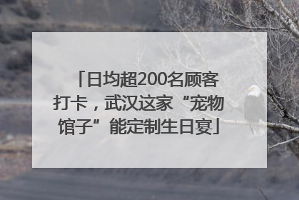 日均超200名顾客打卡，武汉这家“宠物馆子”能定制生日宴
