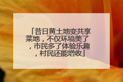 昔日黄土地变共享菜地，不仅环境美了，市民多了体验乐趣，村民还能增收