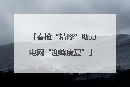 春检“精修”助力电网“迎峰度夏”