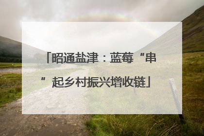 昭通盐津：蓝莓“串”起乡村振兴增收链